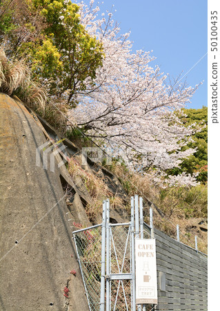 Yokohama - Kukigaya Park 50100435
