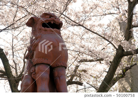 [四國88寺]愛媛縣西條市第64號前神寺Agata Komainu 50100758