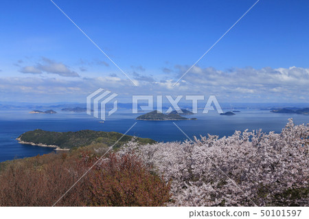 "Sasaoka Islands, Geiyo Islands" on the Shouchi Peninsula cherry blossoms and Bisan Seto and Bigo Pass seen from the Shimodate Mountains 50101597