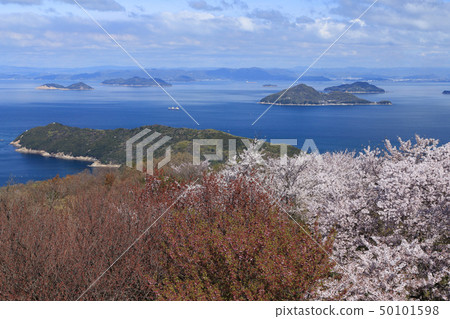 Shouchi半島櫻花上的“Sasaoka Islands，Geiyo Islands”和從Shimodate Mountains看到的Bisan Seto和Bigo Pass 50101598