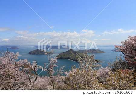 Cherry blossoms and Kashiwajima, Takamijima, in the Shonai Peninsula as seen from the Shikunidesan 50101606