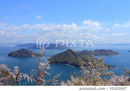 從Shikunidesan看到的Shonai半島的櫻花和Kashiwajima,Takamijima 從Shikunidesan看到的Shonai半島的櫻花和Kashiwajima,Takamijima 50101607