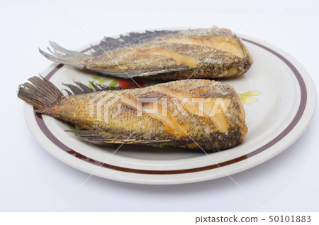 Snake Skin Gourami Fish,Pla Salit ,fish fry 50101883