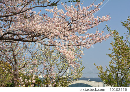 橫濱嶺口公園 橫濱嶺口公園 50102356