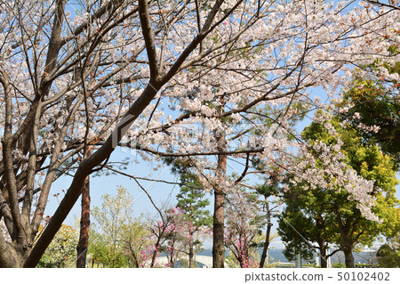 橫濱嶺口公園 橫濱嶺口公園 50102402