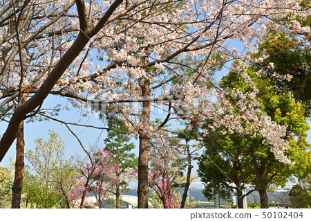 Yokohama Lingkou Park 50102404