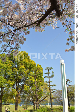 Yokohama Lingkou Park 50102446