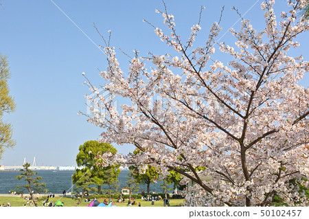 Yokohama Lingkou Park 50102457