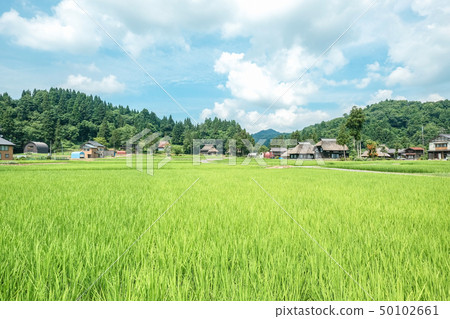 Rural landscape in summer (Ashinoshima ring village) 50102661