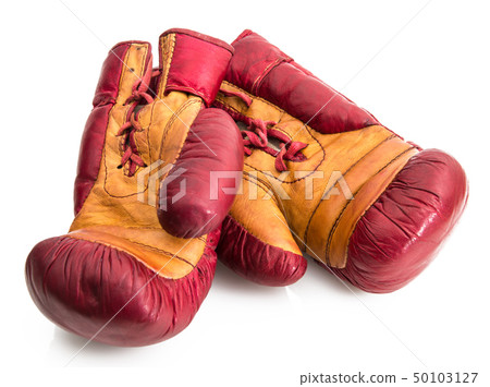 Boxing gloves isolated in white background 50103127