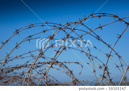 images of barbed wire fence images of barbed wire fence 50103147