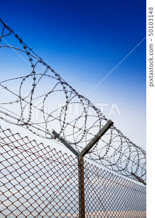 images of barbed wire fence images of barbed wire fence 50103148