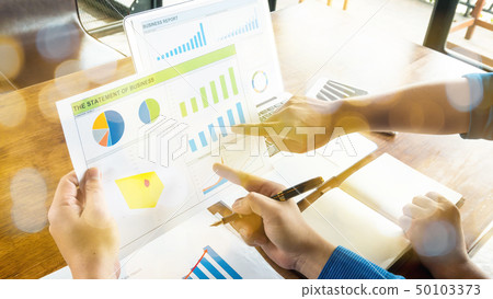 Business report statement for analysis and review  50103373