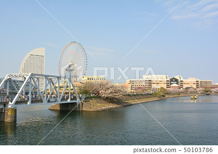 Sakura in Yokohama 50103786