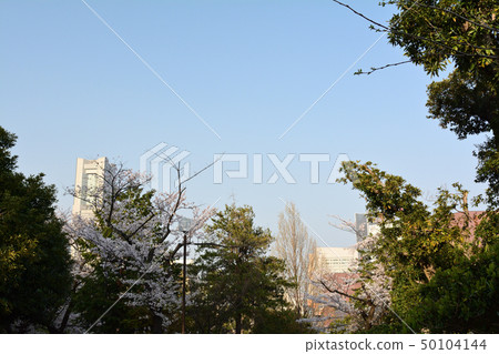 Yokohama, Nogeyama Yokohama, Nogeyama 50104144