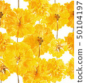 Pressed and dried summer yellow flowers on a white pattern 50104197