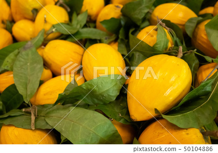 yellow tropical fruit of canistel 50104886