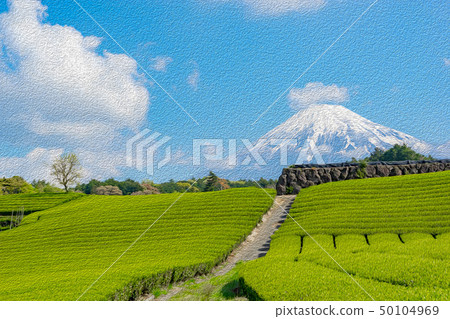 [Shizuoka] Mt. Fuji and tea plantation 50104969