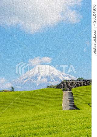 [Shizuoka] Mt. Fuji and tea plantation 50104970