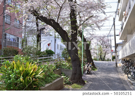 在世田谷 - 深川的芥川綠色風景 在世田谷 - 深川的芥川綠色風景 50105251