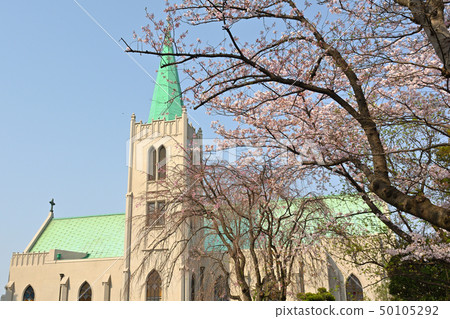 橫濱·山手櫻 橫濱·山手櫻 50105292