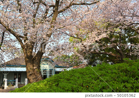Yokohama/Yamate Park Yokohama/Yamate Park 50105362