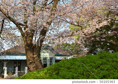 Yokohama/Yamate Park Yokohama/Yamate Park 50105363