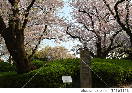 橫濱/山手公園 橫濱/山手公園 50105368