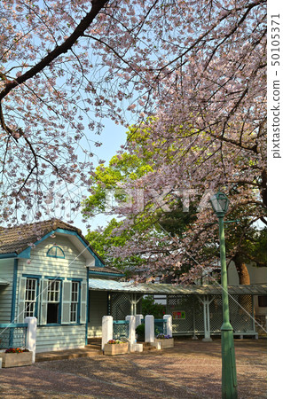 Yokohama/Yamate Park 50105371