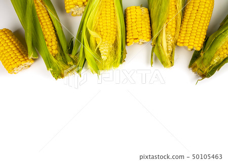 Ripe corn on white background Ripe corn on white background 50105463