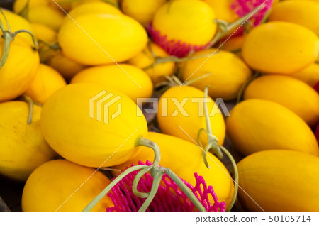 yellow tropical fruit of canistel 50105714