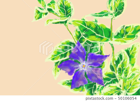 Nichinichiso 50106054