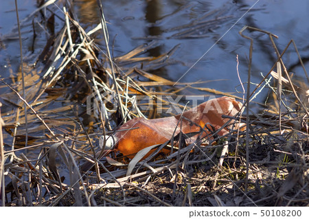 Water pollution, empty plastic bottles. Water pollution, empty plastic bottles. 50108200
