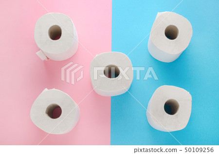 white toilet paper rolls on pink and blue background white toilet paper rolls on pink and blue background 50109256