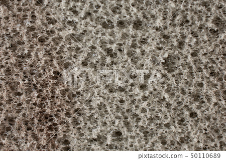 Work tool item isolated 50110689