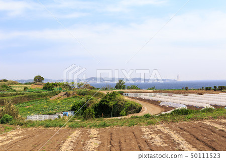 Field (spring) 50111523