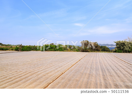 Field (spring) Field (spring) 50111536