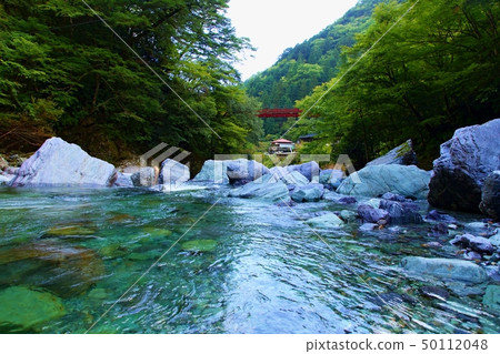 Looking up at Kashiwa Bridge from the Yasui Valley Looking up at Kashiwa Bridge from the Yasui Valley 50112048