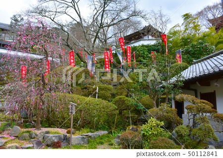 Okadera West國家第33位Kannon 7th bill place 50112841