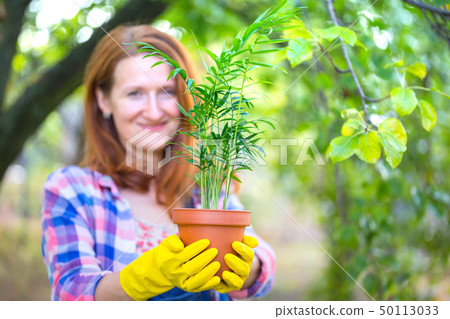 girl plants a plant girl plants a plant 50113033