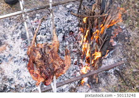 Fowl preparing, Hunting theme. Cooking a whole Pheasant body on an iron skewers over a campfire with Fowl preparing, Hunting theme. Cooking a whole Pheasant body on an iron skewers over a campfire with 50113248