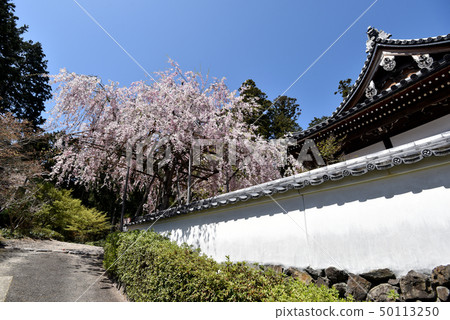 春天禪寺Yakushido 春天禪寺Yakushido 50113250