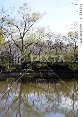 和平公園點觀 和平公園點觀 50113523
