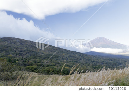 Panorama stand (autumn) 50113928