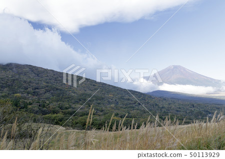 全景台（秋季） 50113929