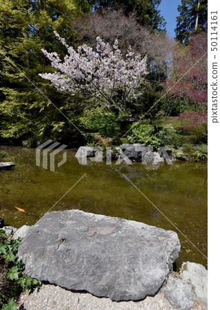 Spring Zen Temple 50114161