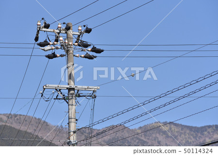 Telephone pole Telephone pole 50114324
