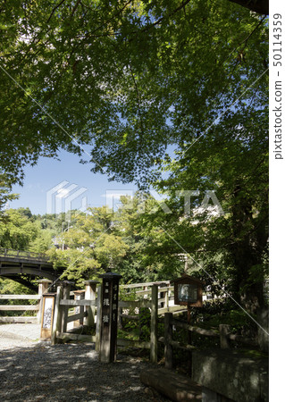 Saruhashi(秋天) Saruhashi(秋天) 50114359