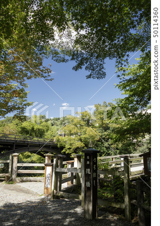 Saruhashi(秋天) Saruhashi(秋天) 50114360