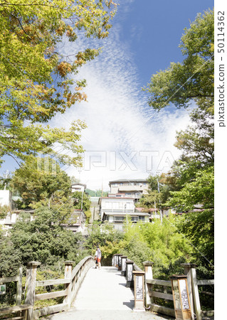 Saruhashi(秋天) Saruhashi(秋天) 50114362